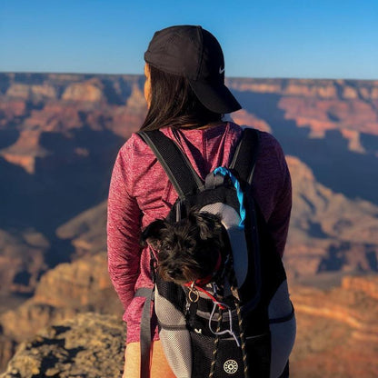 Blaudonau- Rucksack für Hunde / Katzen