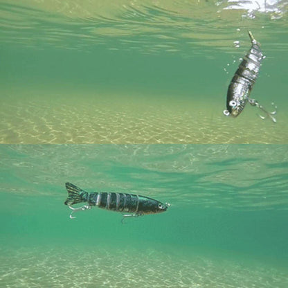 Blaudonau- Schwimmen Fischköder