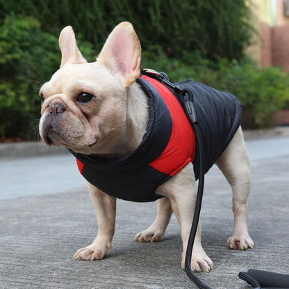 Blaudonau- Hund Weste Jacke für kaltes Wetter mit Reißverschluss und Leinenring