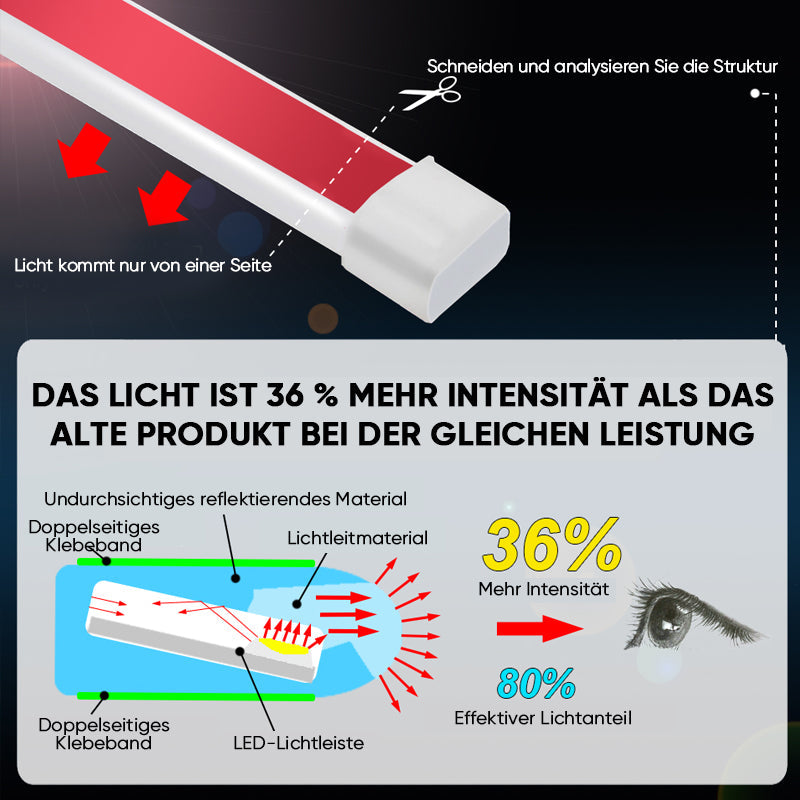 Blaudonau- Auto tagfahrlicht