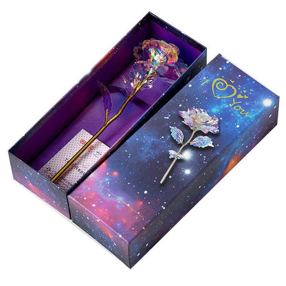 Blaudonau- Bunte Galaxy Rose