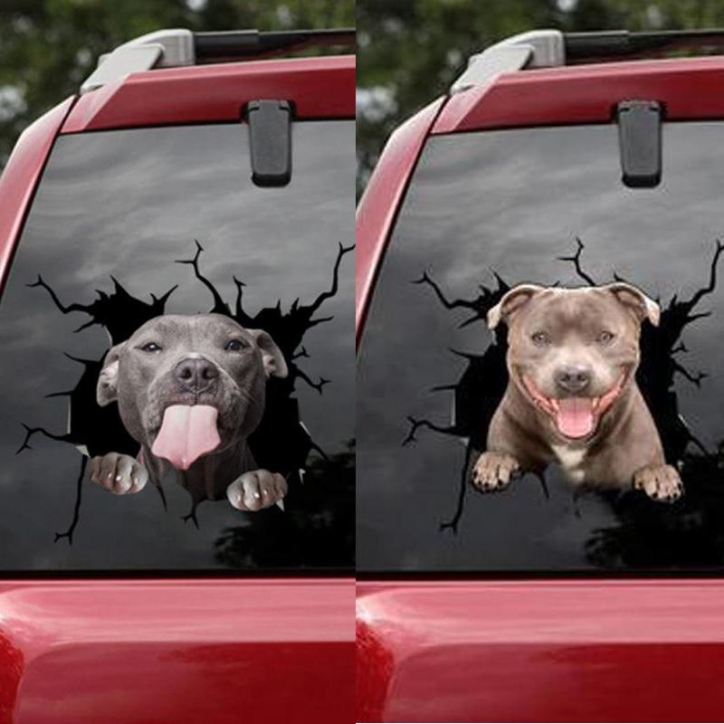 Blaudonau- Auto Fenster Hund Aufkleber