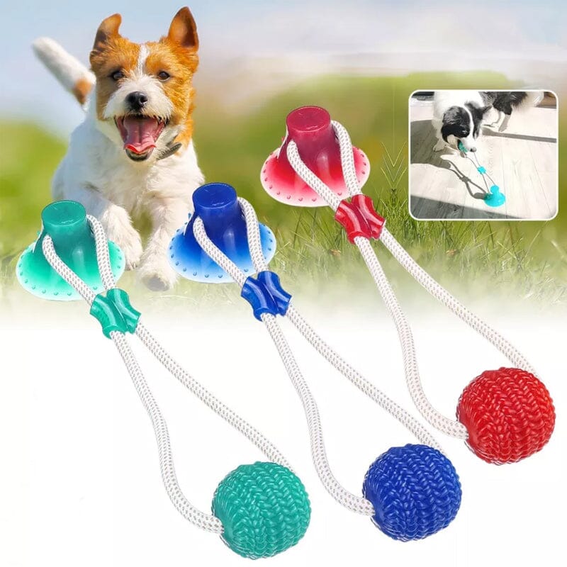 Blaudonau- Multifunction Pet Molar Bite Toy