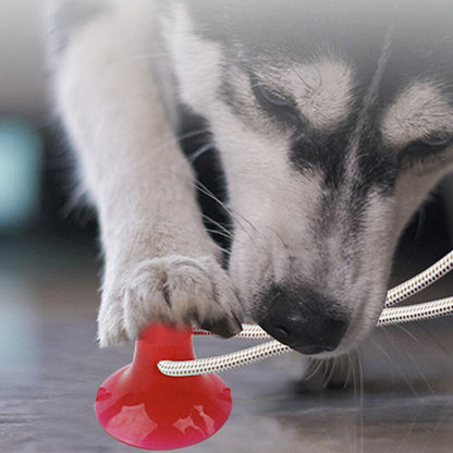 Blaudonau- Multifunction Pet Molar Bite Toy