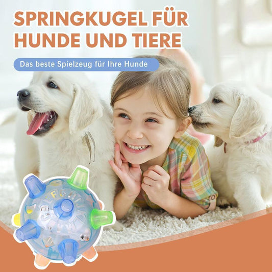 Blaudonau- Springkugel für Hunde und Tiere