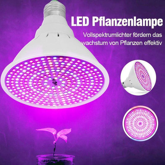 Blaudonau- Zimmerpflanzen LED Pflanzenlampe mit Klammer