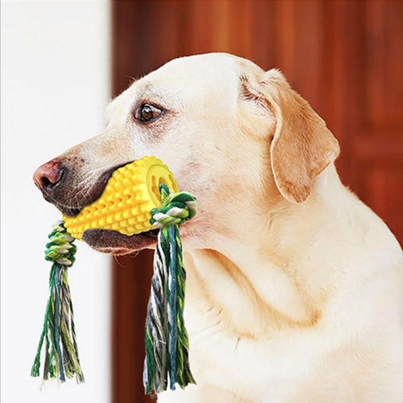 Blaudonau- Interessante Beißstock Hundespielzeuge