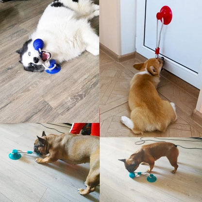 Blaudonau- Multifunction Pet Molar Bite Toy