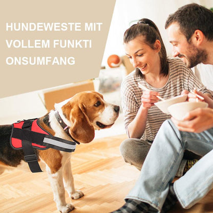 Blaudonau- Hundeweste mit vollem Funktionsumfang