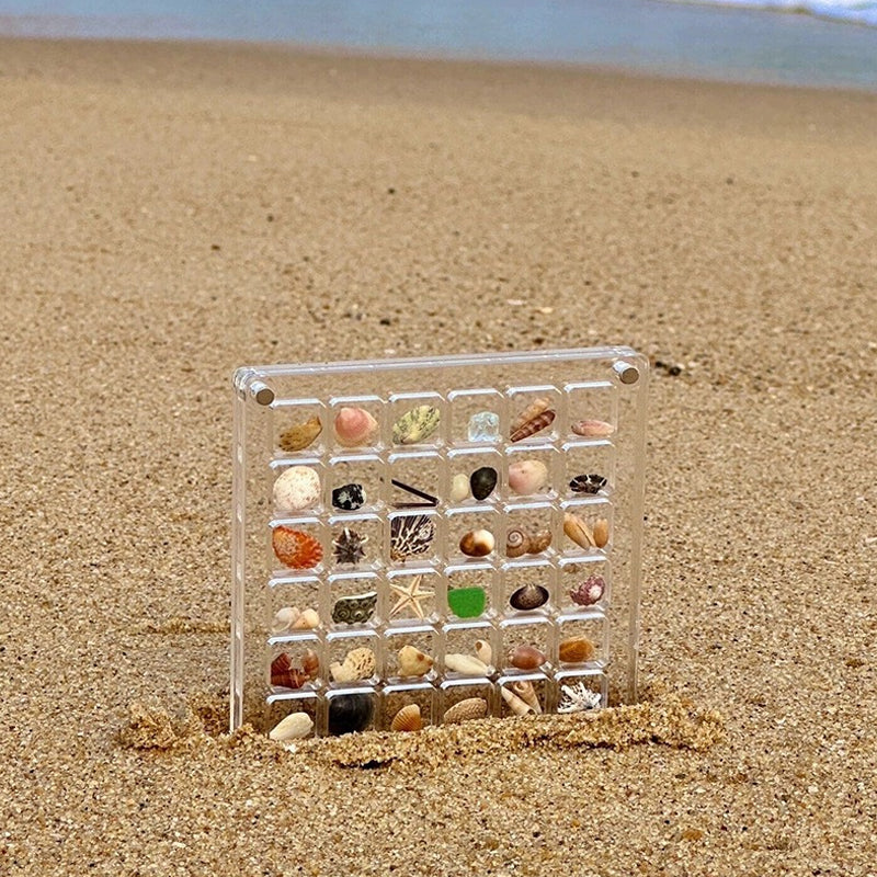 Blaudonau- Magnetisches Acryl-Display für Muscheln