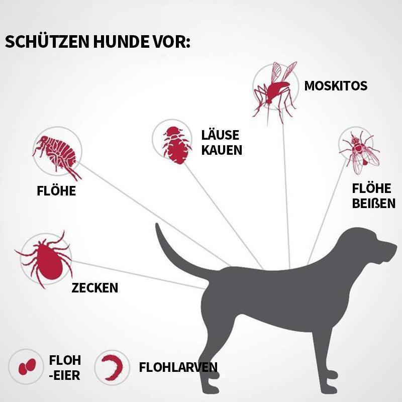 Blaudonau- Haustier Anti Floh & Zecken Badesalz Kugel