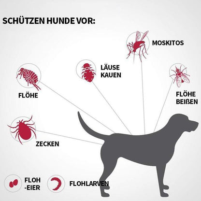 Blaudonau- Haustier Anti Floh & Zecken Badesalz Kugel