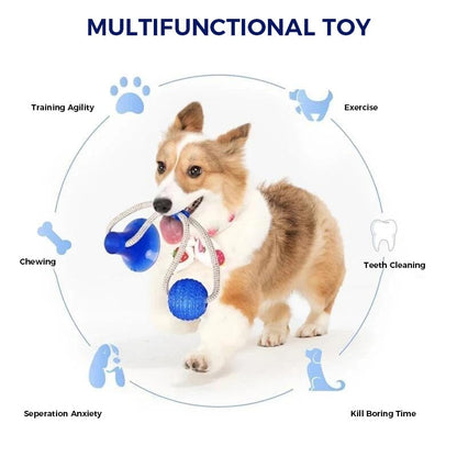 Blaudonau- Multifunction Pet Molar Bite Toy