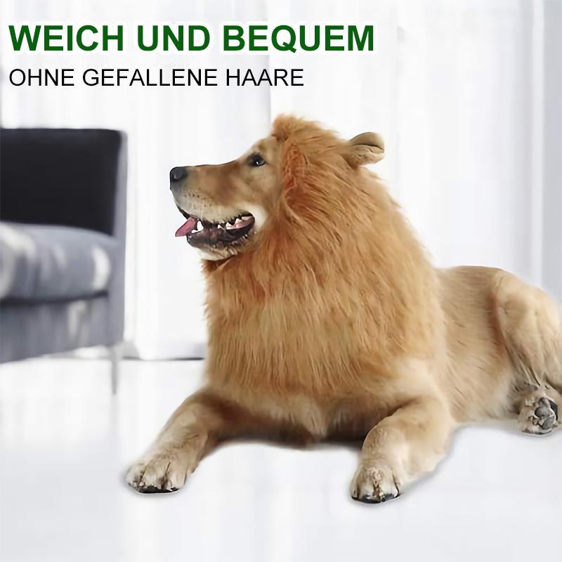 Blaudonau- Löwenmähne Perücke für Hunde