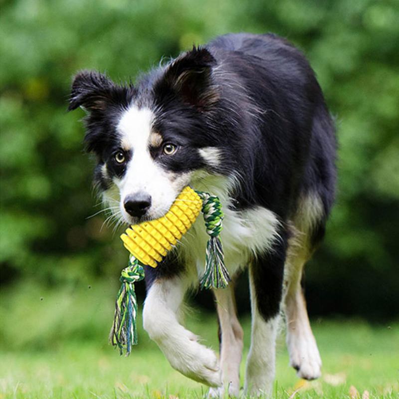 Blaudonau- Interessante Beißstock Hundespielzeuge