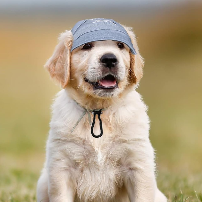 Blaudonau- Outdoor-Sonnenschutzhaube für Hunde