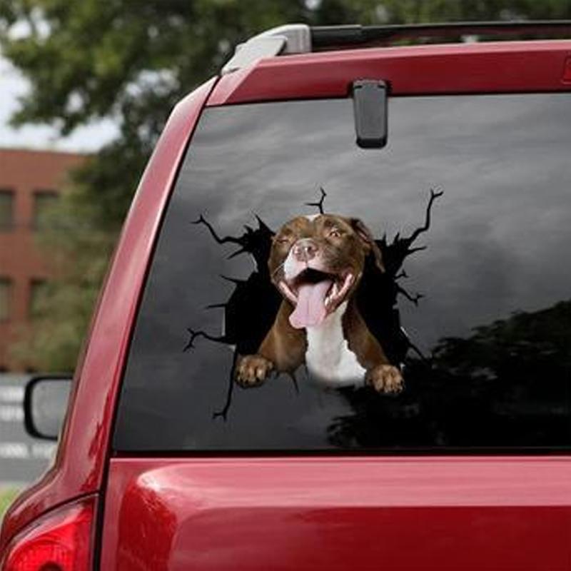 Blaudonau- Auto Fenster Hund Aufkleber C