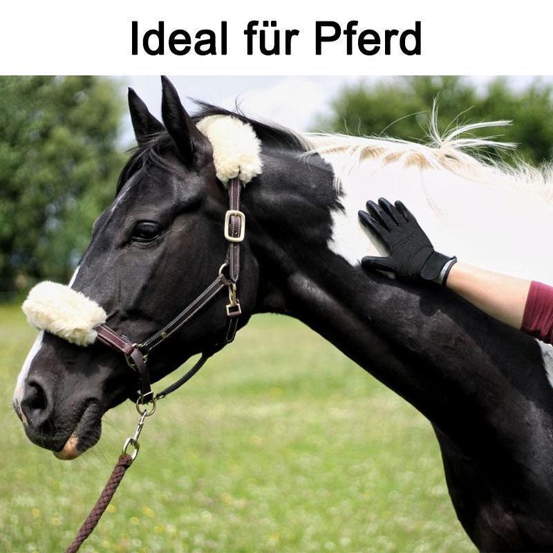 Blaudonau- Fellpflege-Handschuh für Pferde, Hunde und Katzen (1 Paar)