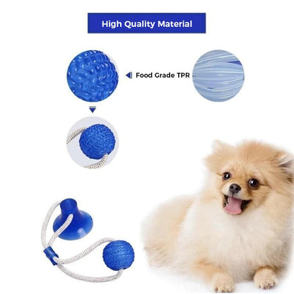 Blaudonau- Multifunction Pet Molar Bite Toy