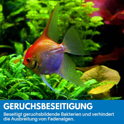 Blaudonau- Reinigungspulver Für Aquarium