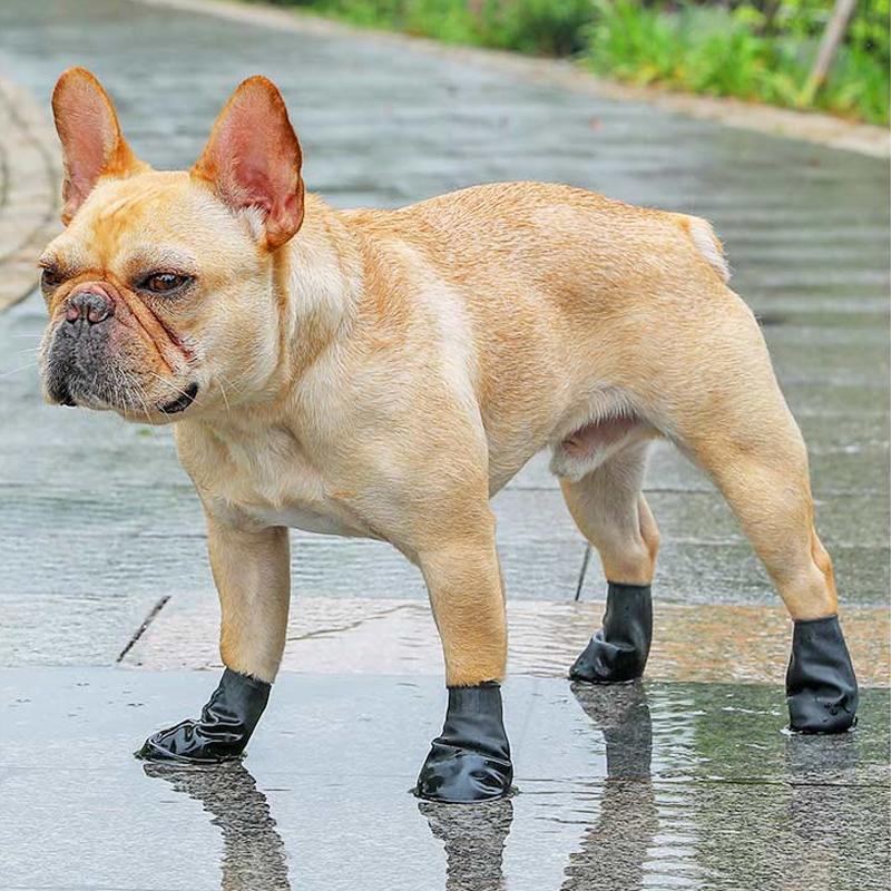 Blaudonau- Haustier Regenstiefel