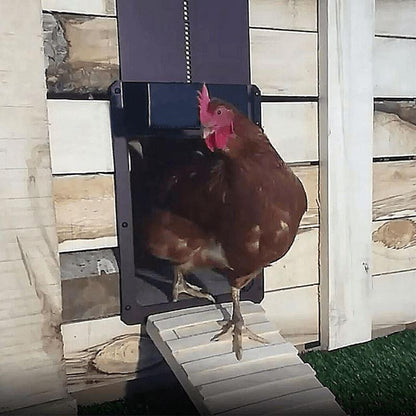 Blaudonau- Geflügelfarm Automatische Hühnerhaustür