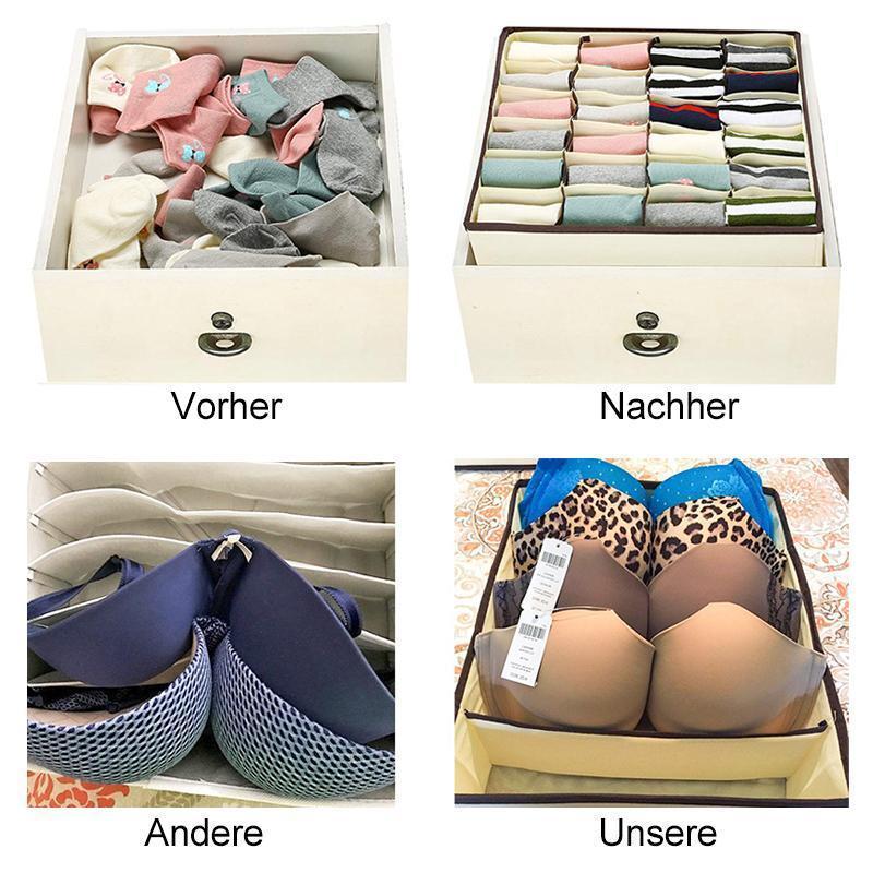 Blaudonau- Faltbarer Kleiderschrank Unterwäsche Organizer (4 Stk im Set)