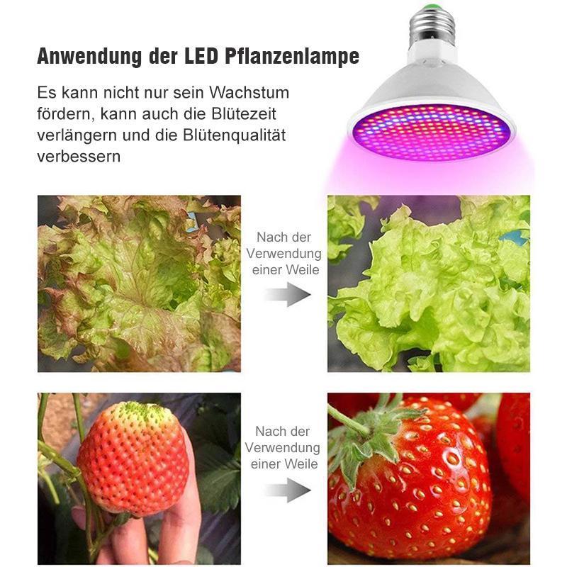 Blaudonau- Zimmerpflanzen LED Pflanzenlampe mit Klammer