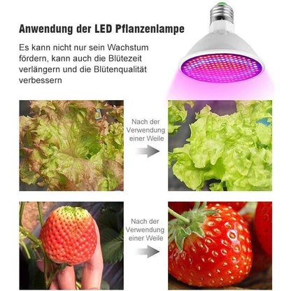 Blaudonau- Zimmerpflanzen LED Pflanzenlampe mit Klammer