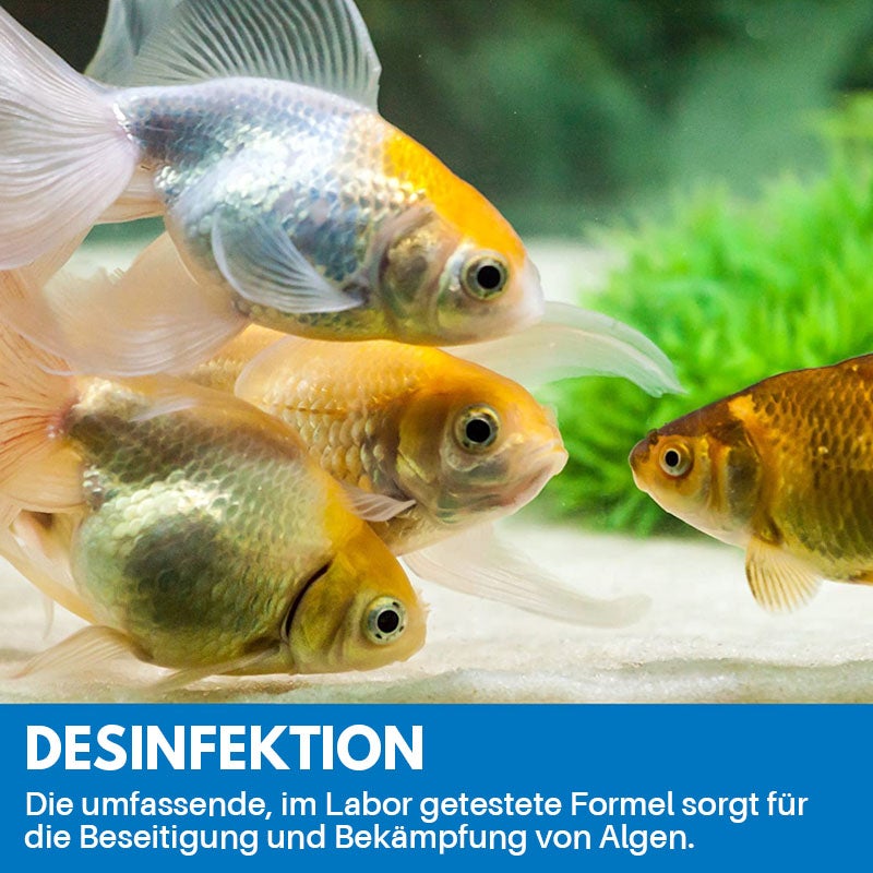 Blaudonau- Reinigungspulver Für Aquarium