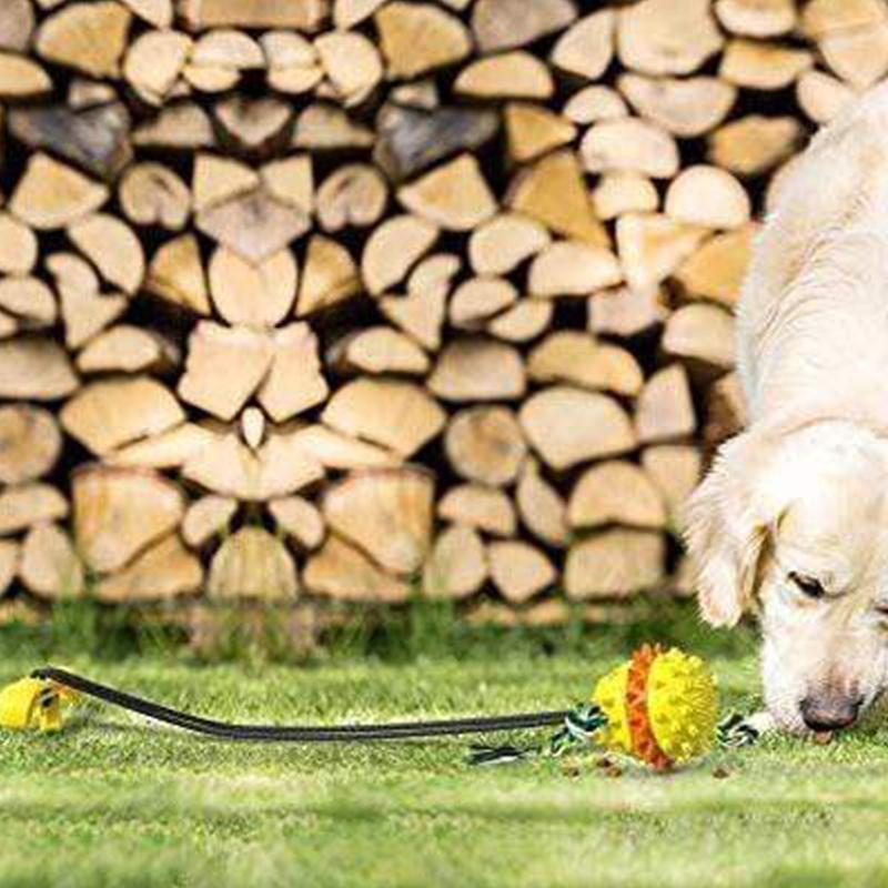 Blaudonau- Pet Seilball Outdoor-Trainingsspielzeug