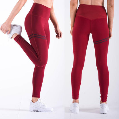 Blaudonau- Damen Anti-Cellulite Kompression Leggings