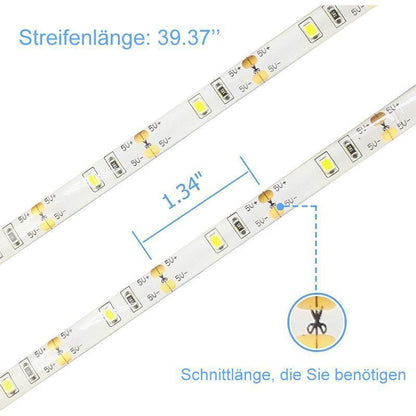 Blaudonau- LED Bewegungsmelder Wasserdichter Lichtgürtel