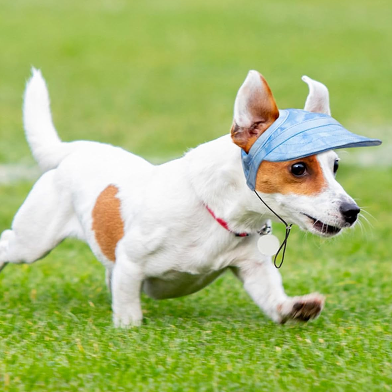 Blaudonau- Outdoor-Sonnenschutzhaube für Hunde