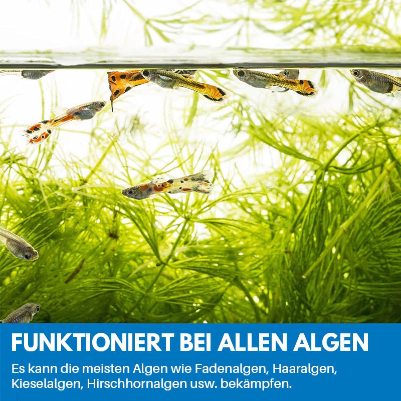 Blaudonau- Reinigungspulver Für Aquarium