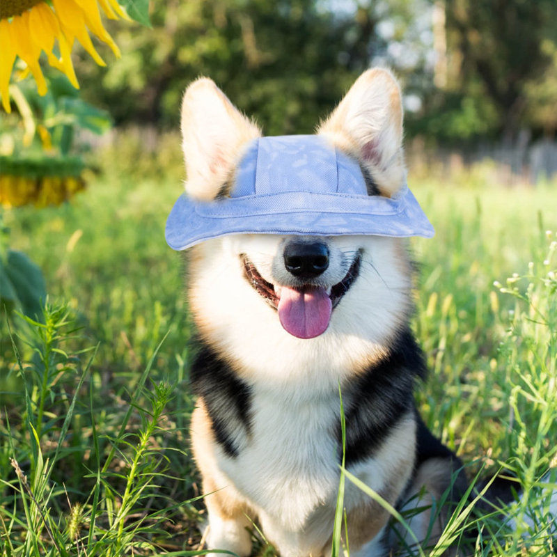 Blaudonau- Outdoor-Sonnenschutzhaube für Hunde