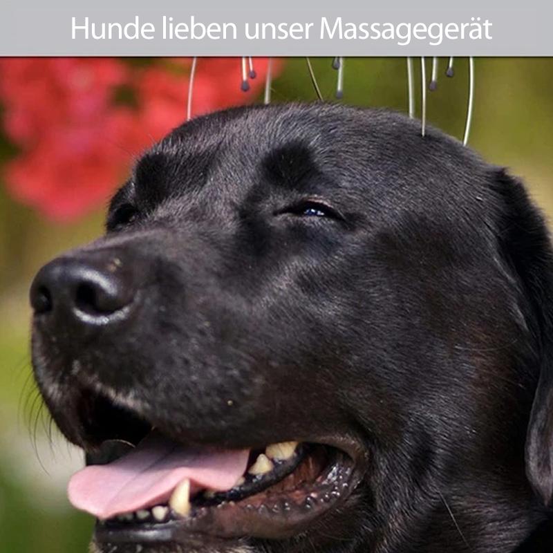 Blaudonau- Handhaltendes Kopfmassagegerät