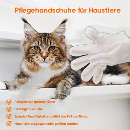 Blaudonau- Haustier-Handschuhe ohne Waschen-6 Stück