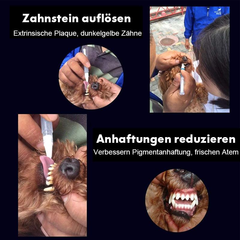 Blaudonau- Haustier Hund / Katze Zähne Reinigungsstift