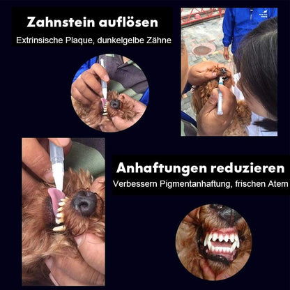 Blaudonau- Haustier Hund / Katze Zähne Reinigungsstift