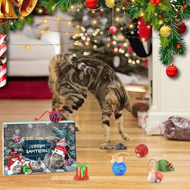 Blaudonau- Weihnachtskalender für Katzen