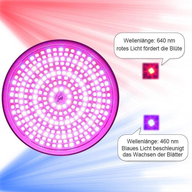 Blaudonau- Zimmerpflanzen LED Pflanzenlampe mit Klammer