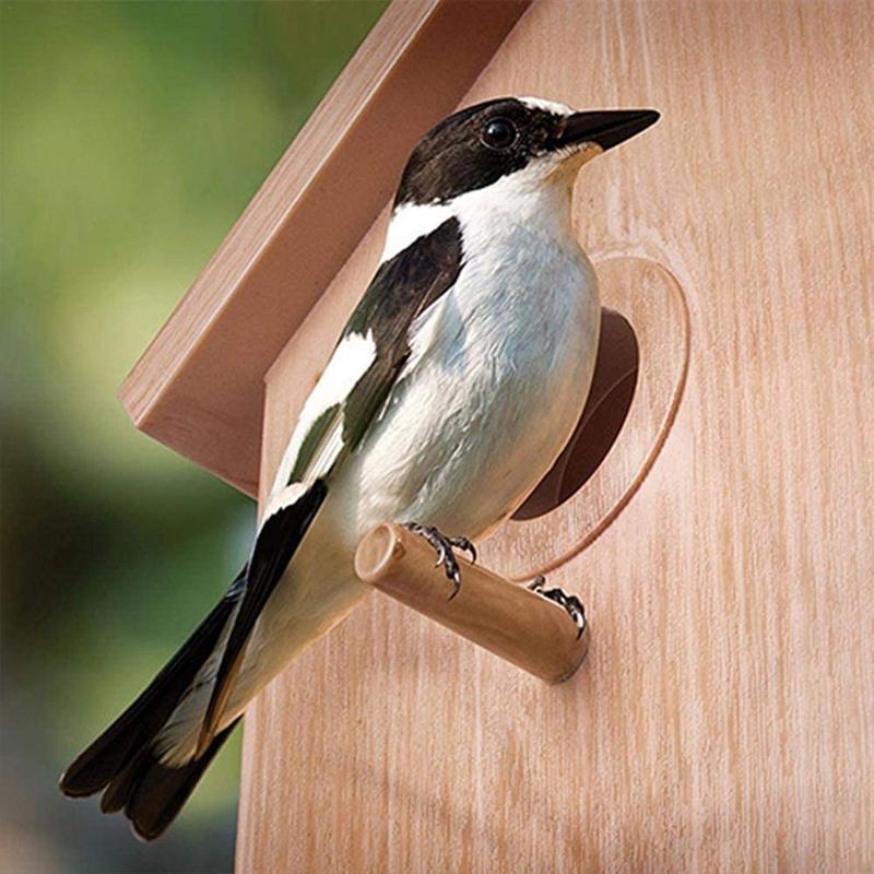 Blaudonau- DIY Sucker Vögel-Nest