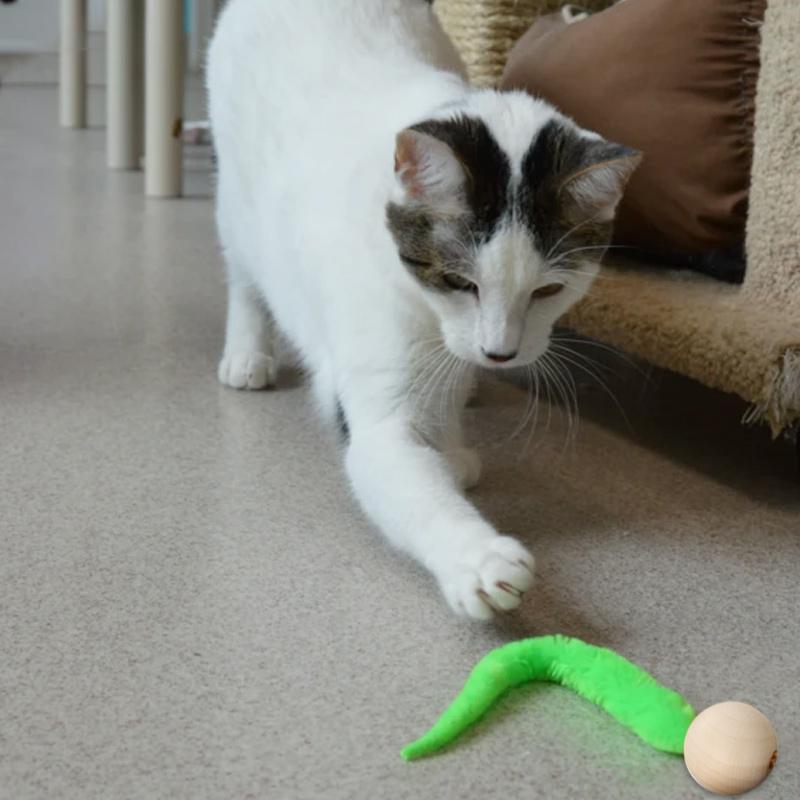 Blaudonau- Wackeliges Katzenspielzeug mit Glocken