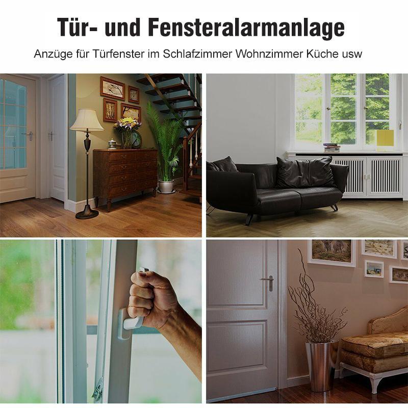 Blaudonau- Tür- und Fensteralarmanlage