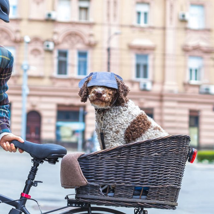 Blaudonau- Outdoor-Sonnenschutzhaube für Hunde