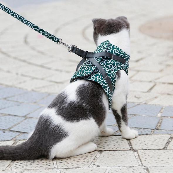 Blaudonau- Geschirr und Leine der Katzenweste zum Gehen im Freien Grün