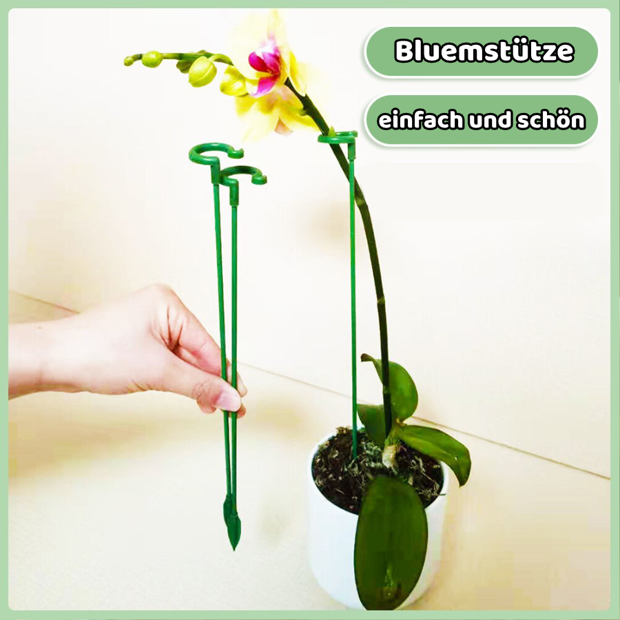 Blaudonau- Pflanzenstütze Plant Buddy