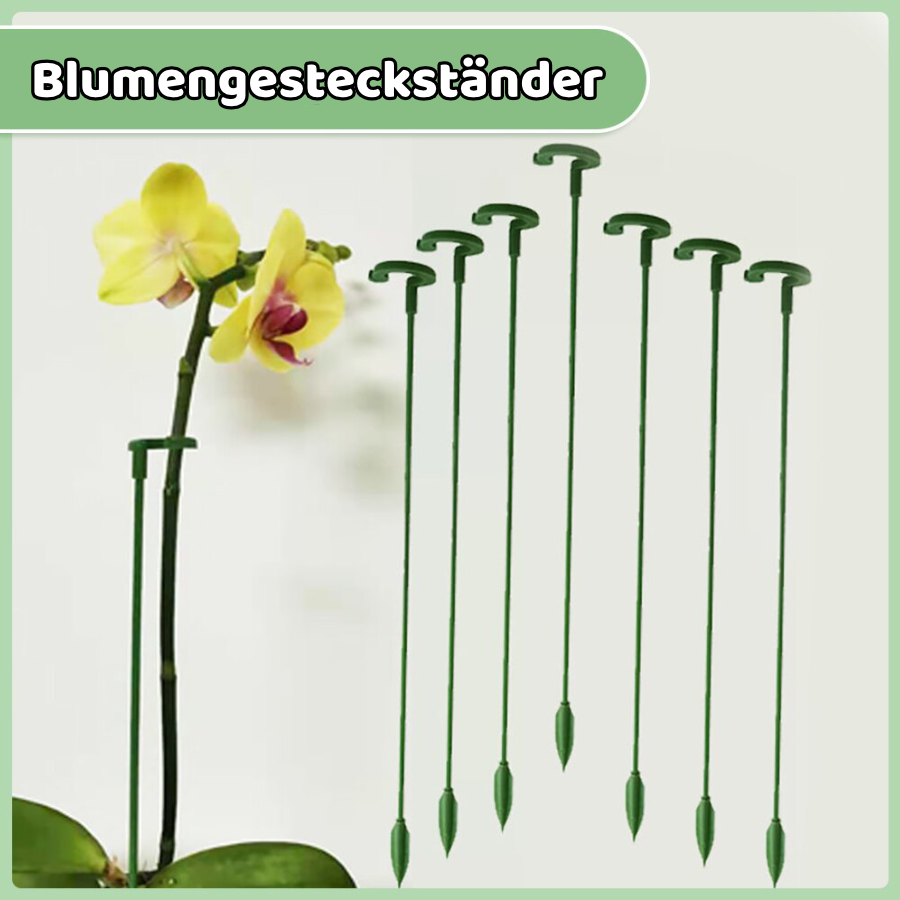 Blaudonau- Pflanzenstütze Plant Buddy