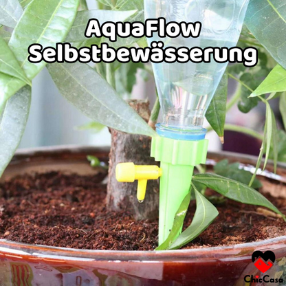 Blaudonau- AquaFlow Selbstbewässerung